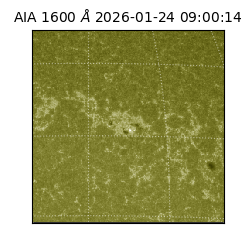 saia - 2026-01-24T09:00:14.132000
