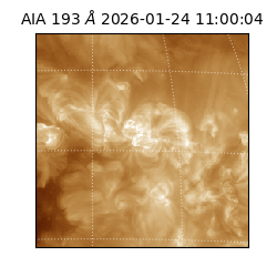 saia - 2026-01-24T11:00:04.843000