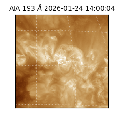 saia - 2026-01-24T14:00:04.843000