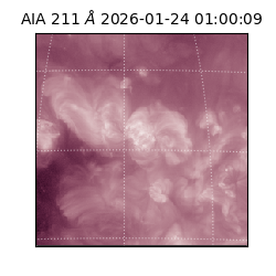 saia - 2026-01-24T01:00:09.626000