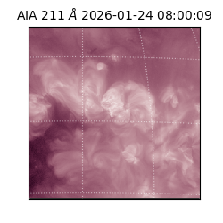 saia - 2026-01-24T08:00:09.633000