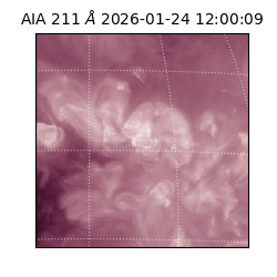saia - 2026-01-24T12:00:09.630000