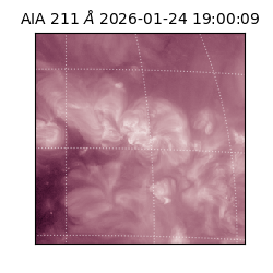 saia - 2026-01-24T19:00:09.634000