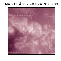 saia - 2026-01-24T20:00:09.634000