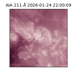 saia - 2026-01-24T22:00:09.626000