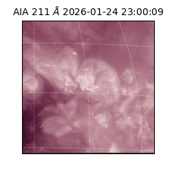saia - 2026-01-24T23:00:09.619000