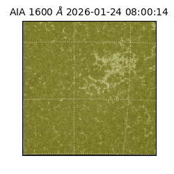 saia - 2026-01-24T08:00:14.126000
