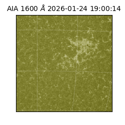 saia - 2026-01-24T19:00:14.126000