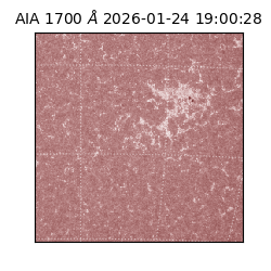 saia - 2026-01-24T19:00:28.717000