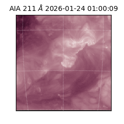saia - 2026-01-24T01:00:09.626000