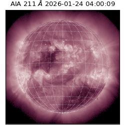 saia - 2026-01-24T04:00:09.626000