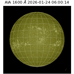 saia - 2026-01-24T06:00:14.124000
