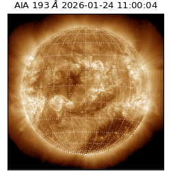 saia - 2026-01-24T11:00:04.843000