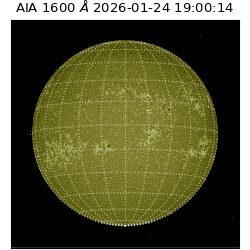 saia - 2026-01-24T19:00:14.126000
