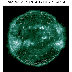 saia - 2026-01-24T22:59:59.137000
