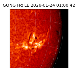 gong - 2026-01-24T01:00:42
