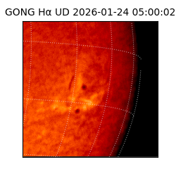 gong - 2026-01-24T05:00:02