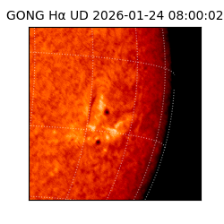 gong - 2026-01-24T08:00:02