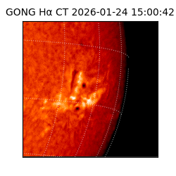 gong - 2026-01-24T15:00:42