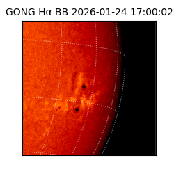 gong - 2026-01-24T17:00:02