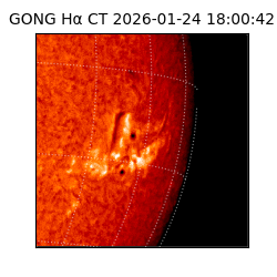 gong - 2026-01-24T18:00:42
