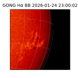 gong - 2026-01-24T23:00:02