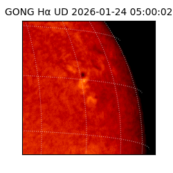 gong - 2026-01-24T05:00:02