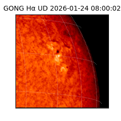 gong - 2026-01-24T08:00:02