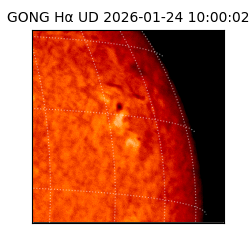 gong - 2026-01-24T10:00:02