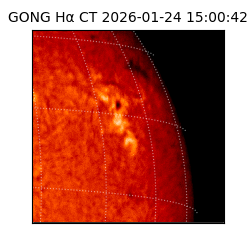 gong - 2026-01-24T15:00:42