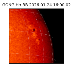 gong - 2026-01-24T16:00:02