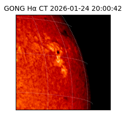 gong - 2026-01-24T20:00:42