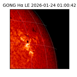 gong - 2026-01-24T01:00:42