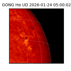 gong - 2026-01-24T05:00:02