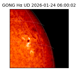 gong - 2026-01-24T06:00:02