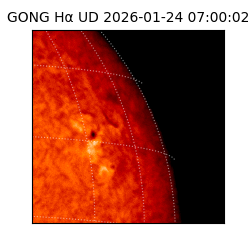 gong - 2026-01-24T07:00:02