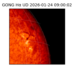gong - 2026-01-24T09:00:02