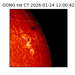 gong - 2026-01-24T12:00:42