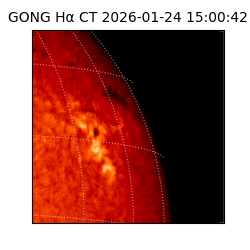 gong - 2026-01-24T15:00:42