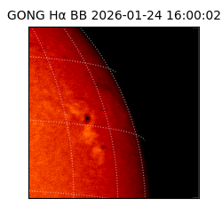 gong - 2026-01-24T16:00:02