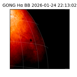 gong - 2026-01-24T22:13:02