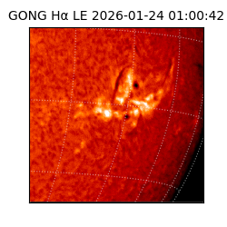 gong - 2026-01-24T01:00:42