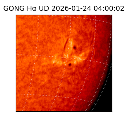 gong - 2026-01-24T04:00:02