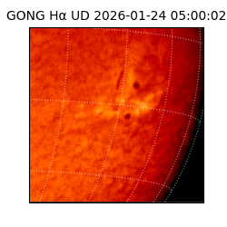 gong - 2026-01-24T05:00:02