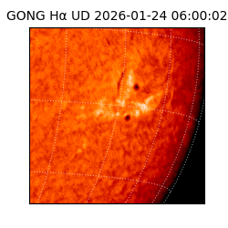 gong - 2026-01-24T06:00:02