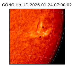 gong - 2026-01-24T07:00:02