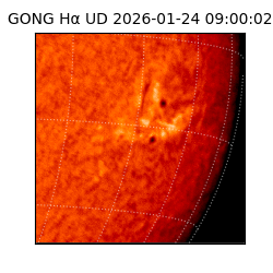 gong - 2026-01-24T09:00:02