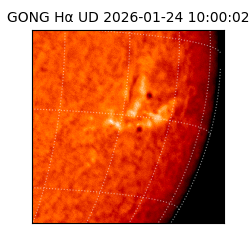 gong - 2026-01-24T10:00:02