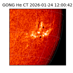 gong - 2026-01-24T12:00:42