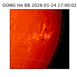 gong - 2026-01-24T17:00:02